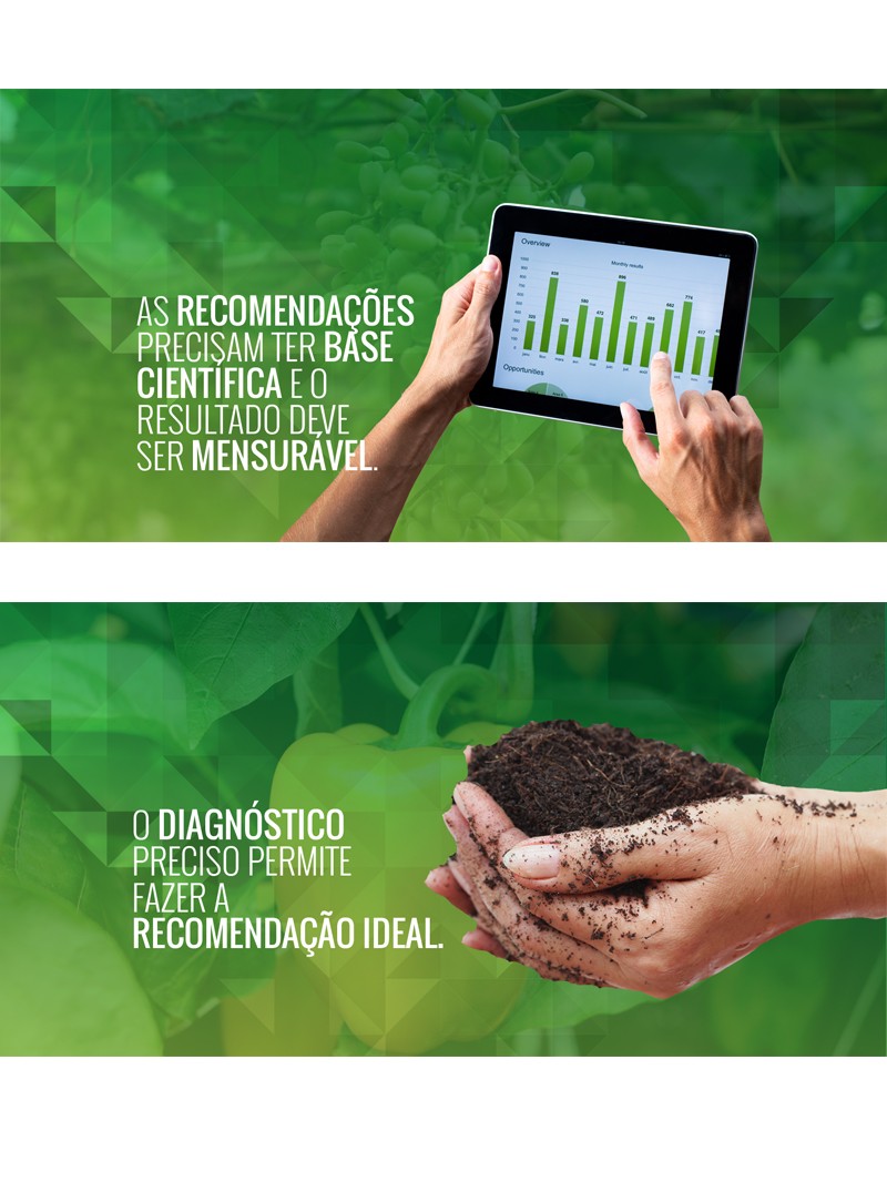 Creativeagro-criacao-site-3